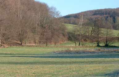 Damm der Pferdebahn am Paasbach